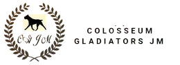 Élevage Cane Corso Casablanca | Colosseum Gladiators JM